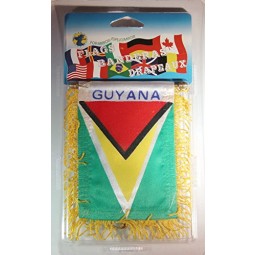 Guyana Flag Rear View Mirror Mini Banner 4