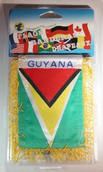 Guyana Flag Rear View Mirror Mini Banner 4