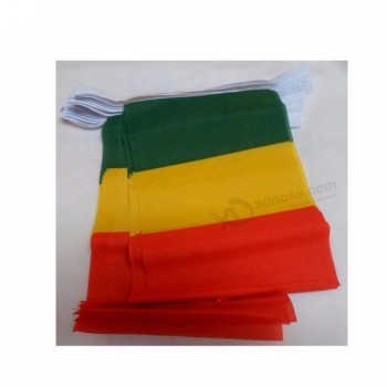 プロモーション製品卸売ギニア旗布旗ペナント