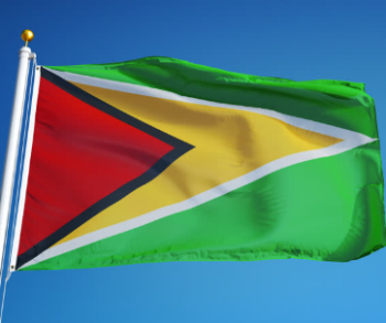 tecido de poliéster guiana bandeira do país para o dia nacional