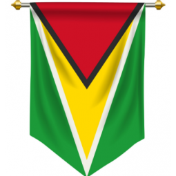 hängende Polyester Guyana Wimpel Banner Flagge