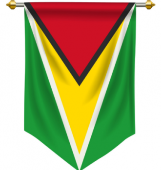 hängende Polyester Guyana Wimpel Banner Flagge