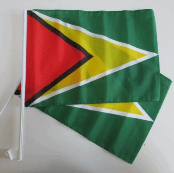 gebreide polyester mini guyana vlag voor autoraam