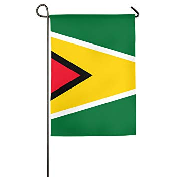 Guyana national country garden flag Guyana house banner