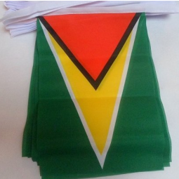 Decorative Mini Polyester Guyana Bunting Banner Flag