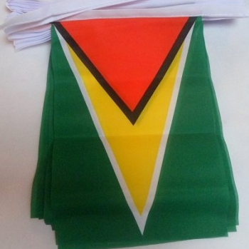 bandeira de bandeira de estamenha de mini guiana de poliéster decorativo