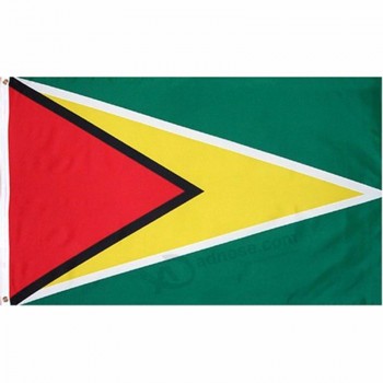 Guyana National Banner Polyester benutzerdefinierte Flagge Metall Tülle