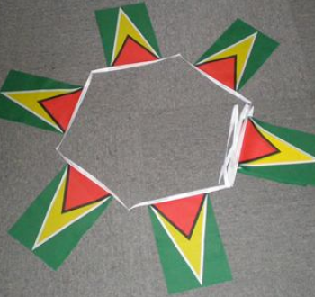 dekorative Guyana National String Flag Guyana Bunting Banner