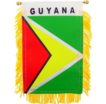 custom Car rearview window guyana hanging flag