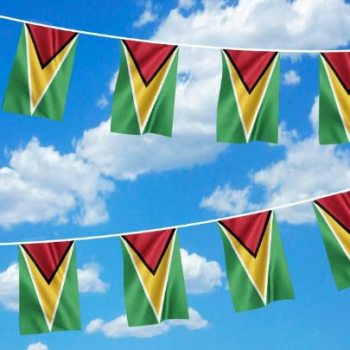 Guyana string vlag bunting vlag in de fabriek op maat