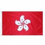 Outdoor hanging standard size 3x5ft Hong Kong flag