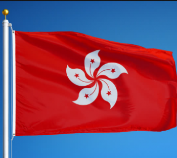 China Hong Kong kennzeichnet kundenspezifische Hong Kong-Flagge im Freien
