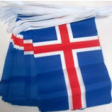 decoratieve mini polyester bunting vlag van IJsland