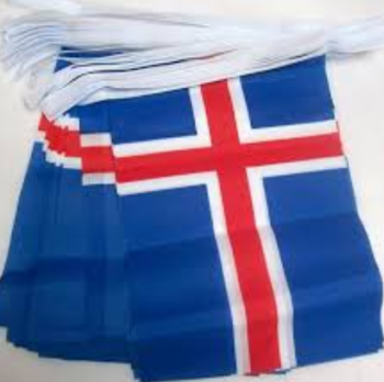 Decorative Mini Polyester Iceland Bunting Banner Flag