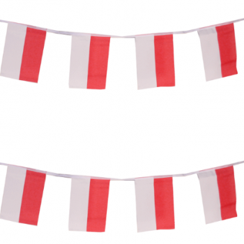 Decorative Mini Polyester Indonesia Bunting Banner Flag