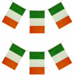 Decorative Mini Polyester Irish Bunting Banner Flag