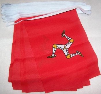 Isle of Man 6 meter bunting vlag 20 vlaggen 9 '' x 6 '' - manx - Engelse string vlaggen 15 x 21 cm