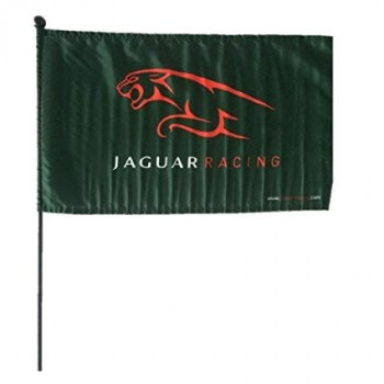 jaguar F1 racing flag con asta