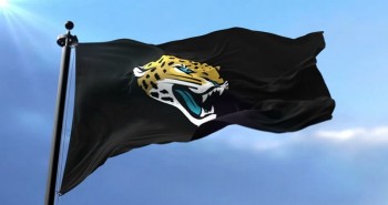 Jacksonville Jaguars Flag, American Football Stock