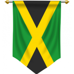 Decotive Jamaica national Pennant flag for hanging