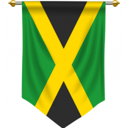 Indoor decorative polyester Jamaica pennant flag custom