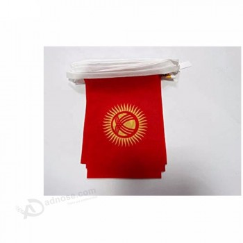 프로 모션 제품 키르기스스탄 국가 깃발 천 플래그 문자열 플래그
