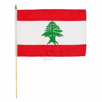 bandiera sventolante tenuta in mano libanese del paese con i bastoni