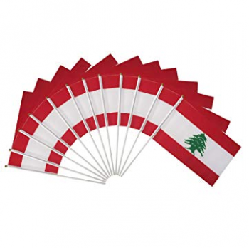 piccola mini bandiera libanese tenuta in mano per gli sport all'aperto