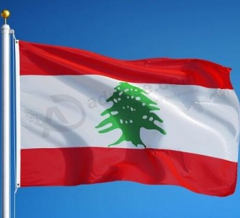 продажа фабрики прямо стандартного размера флаг ливана