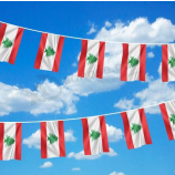 decorative mini polyester lebanon bunting banner flag