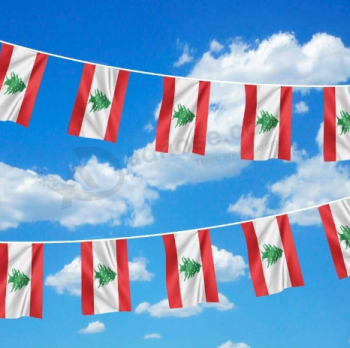 Decorative Mini Polyester Lebanon Bunting Banner Flag