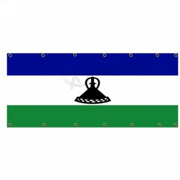 Заводская цена небольшой флаг Лесото сетка для задней двери