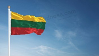 사용자 정의 실크 스크린 인쇄 디지털 인쇄 다른 유형 다른 크기 2x3ft 4x6ft 3x5ft 국가 국가 리투아니아 국기