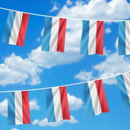 decorative custom size luxembourg national string flag bunting