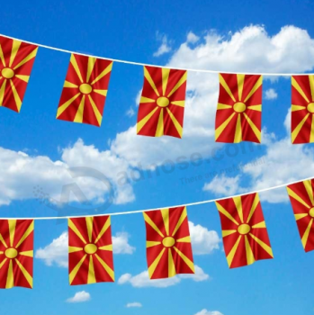 bandera decorativa de la bandera del empavesado del mini poliéster de Macedonia