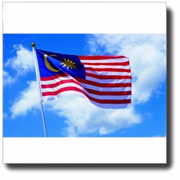 Flaggenfabrik liefern direkt Großhandelsmalaysia 3 * 5 Fuß enorme Flagge für Feiertag