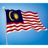 뜨거운 판매 새로운 디자인 사용자 정의 3 x 5 ft 말레이시아 공장 직접 판매 국기
