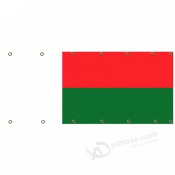 bandeira do logotipo personalizado madagascar malha bandeira para utilização não autorizada