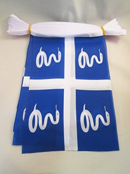 Martinique 6 Meters Bunting Flag 20 Flags 9'' x 6'' - French Region of Martinique String Flags 15 x 21 cm