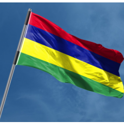 Factory sale directly standard size Mauritius flag