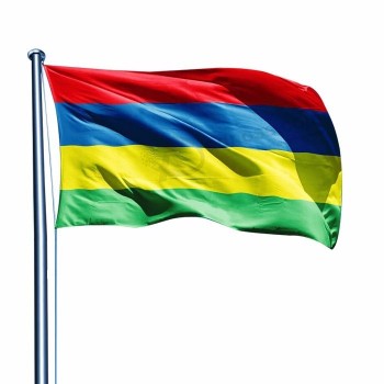 printed different size different types national country mauritius flag