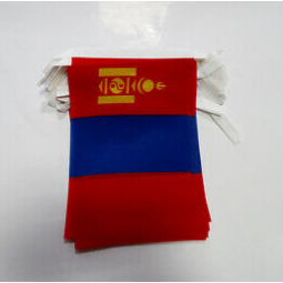 Mongolia Bunting Flag Custom Polyester Mongolia String Flag