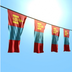 Decoración del día nacional colgando la bandera del empavesado de Mongolia