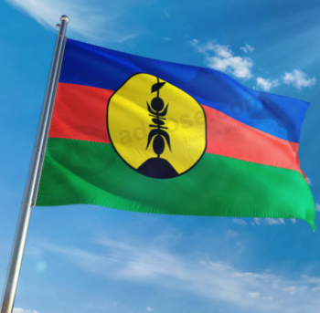 Bandera colgante de Francia Nueva Caledonia para colgar al aire libre en venta