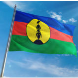 bandiera della Nuova Caledonia appesa all'aperto per la vendita