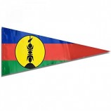 triangolo banner bandiera della Nuova Caledonia Zigolo per la celebrazione