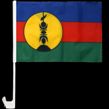 Digitaldruck Polyester Mini Neukaledonien Flagge für Autofenster