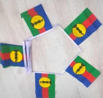 decoratieve mini polyester bunting vlagbanner van Nieuw-Caledonië