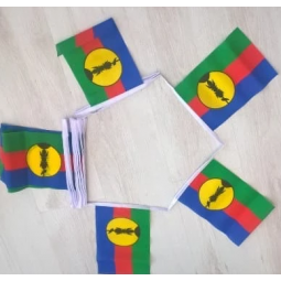 dekorative Mini Polyester Neukaledonien Ammer Flagge Banner