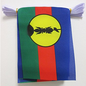 装飾的なニューカレドニア文字列旗旗布